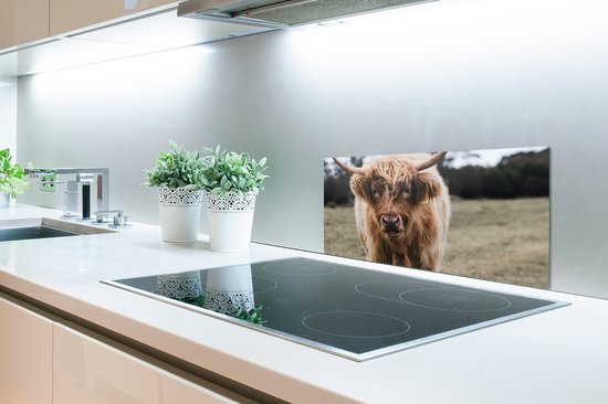 Spatscherm keuken 70x30 cm - Kookplaat achterwand Schotse hooglander - Boerderijdieren - Gras - Muurbeschermer - Spatwand fornuis - Hoogwaardig aluminium