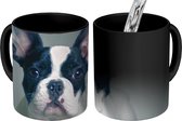 Magische Mok - Foto op Warmte Mok - Franse Bulldog - Pup - Wit - 350 ML