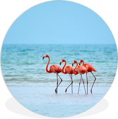 WallCircle - Wandcirkel ⌀ 30 - Vier flamingo's lopen in het water - Ronde schilderijen woonkamer - Wandbord rond - Muurdecoratie cirkel - Kamer decoratie binnen - Wanddecoratie muurcirkel - Woonaccessoires