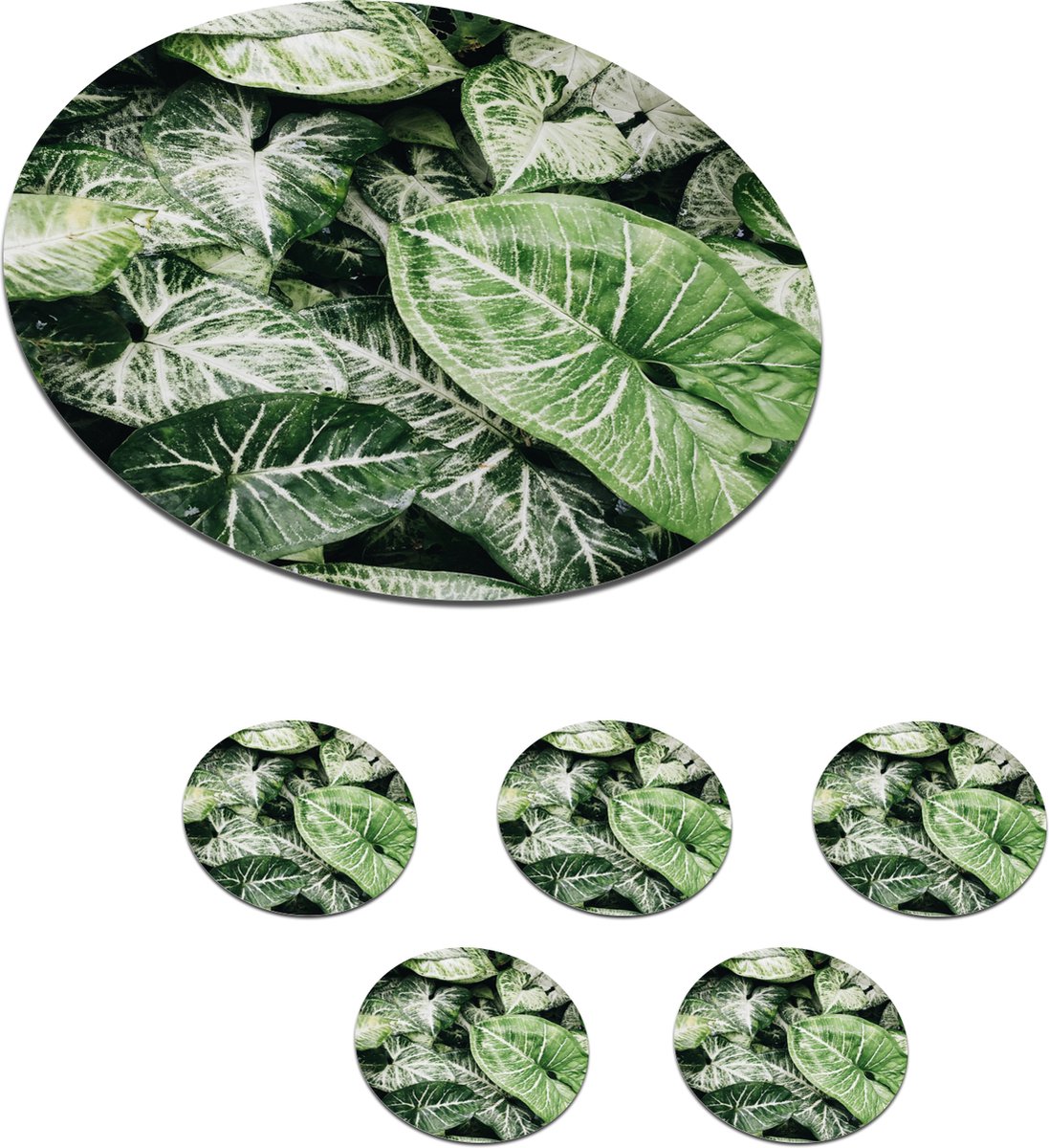 Onderzetters voor glazen - Rond - Bladeren - Planten - Groen - 10x10 cm - Glasonderzetters - 6 stuks