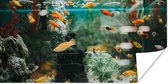 Poster Kleine visjes in een aquarium - 120x60 cm