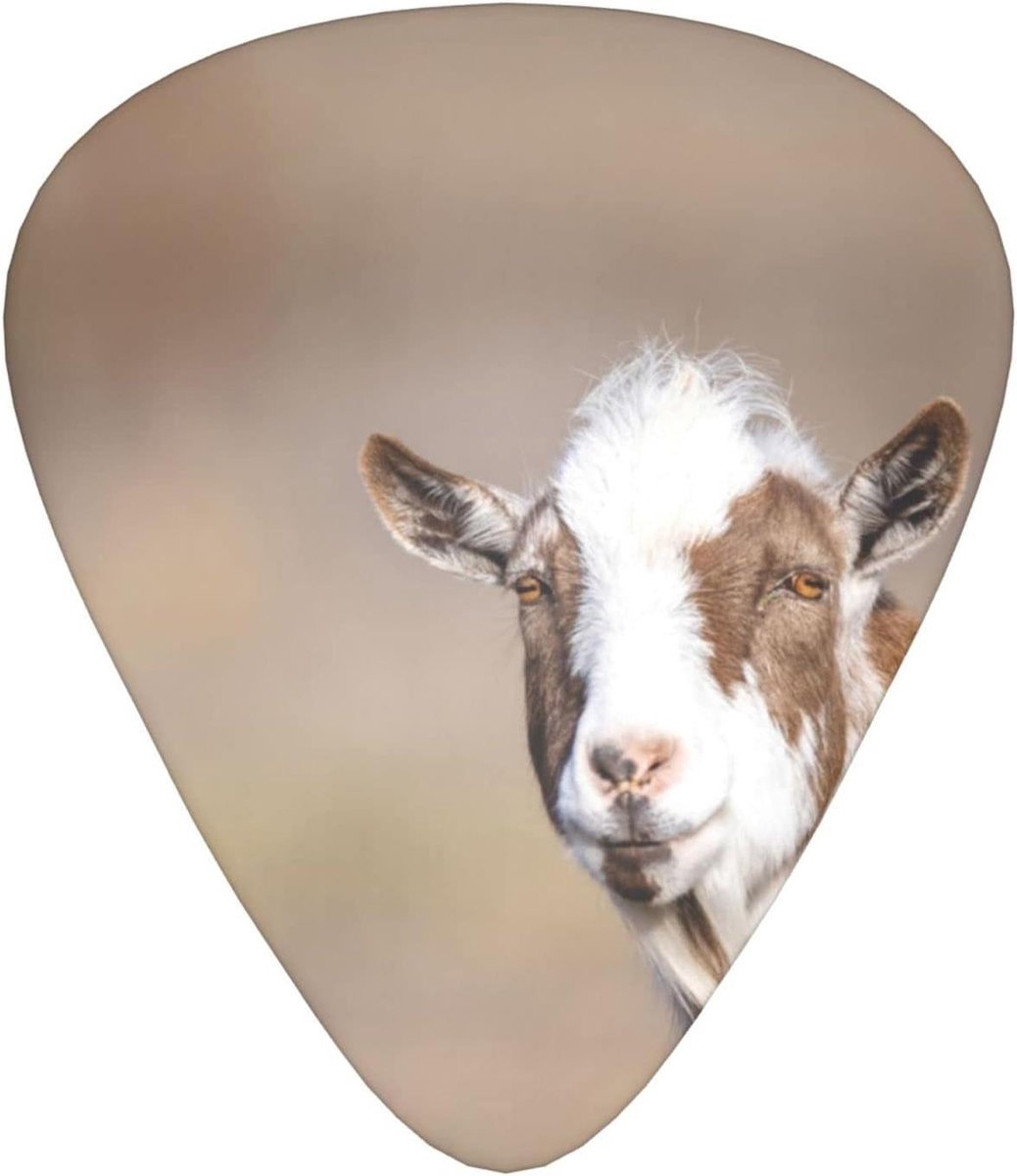 Gitaar Plectrums - Muziek Accessoires - Muziek Maken - Verschillende Diktes - 12 Stuks - Wit