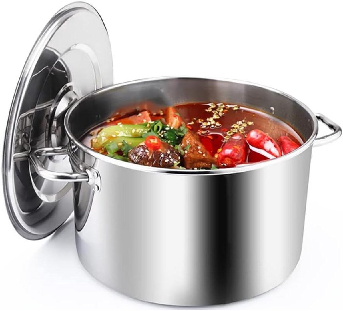Kookpan Met Deksel - Rvs Composietbodem - Gerechten Bereiden - Dikke Bodem - 20 Liter - Zilver