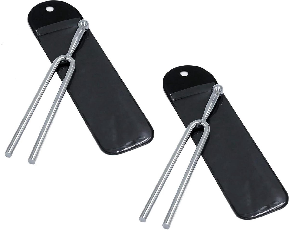 Stemvorken Set - Stemapparaten - Muziek Stemmen - Heldere Toon - 2 Stuks - Zilver