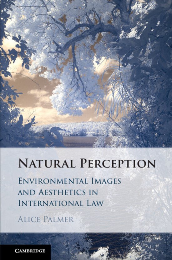 Natural Perception - cover