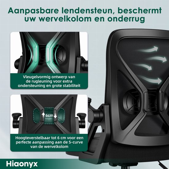 Hiaonyx Bureaustoel-Ergonomische bureaustoel-bureaustoelen voor volwassenen-Opklapbare armleuningen-Lendensteun-Verdikt en verbreed zitkussen-Zwart