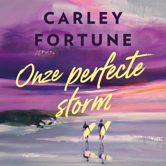 Onze perfecte storm - cover