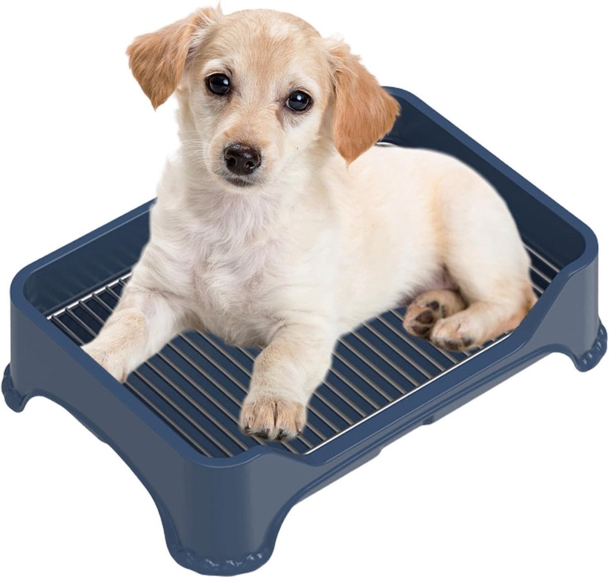 Hondentoilet Binnen - Hondenpotje Training - Zindelijkheid Puppy - Roestvrij Staal Net - 51.5 cm Lengte - Zilver