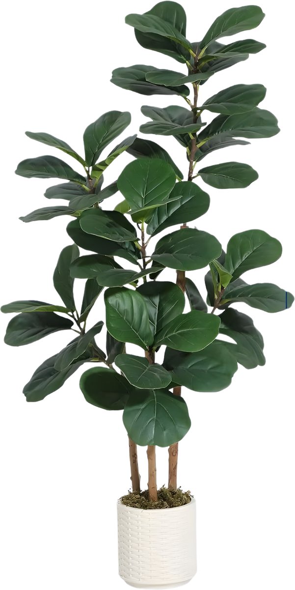 Happiq Kunstmatige Ficus Lyrata - Voor Binnen & Woonkamer - Kunstplant met Natuurlijke Houten Stam en Buigzame Bladeren - Groen-150cm