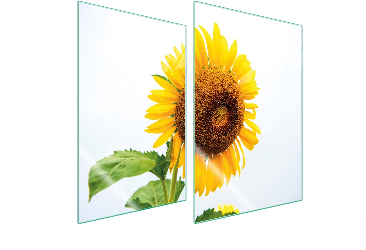TMK ArtDeko Serie - Glas Beschermplaat - 35x52 cm - Bloemmotief - Veiligheidsglas