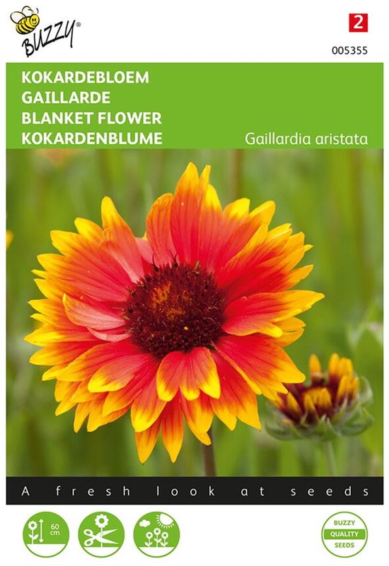 Gaillardia aristata