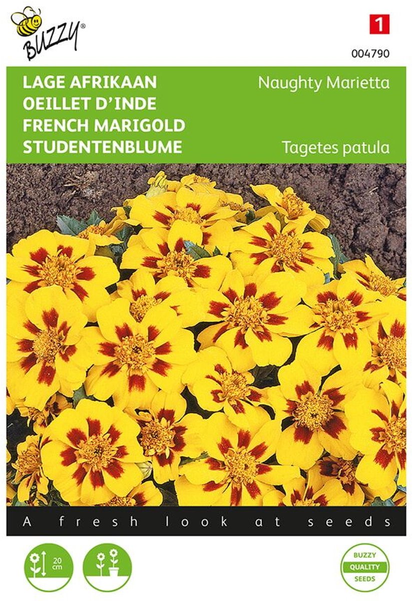 Afrikaantje Naughty Marietta (Tagetes patula nana)