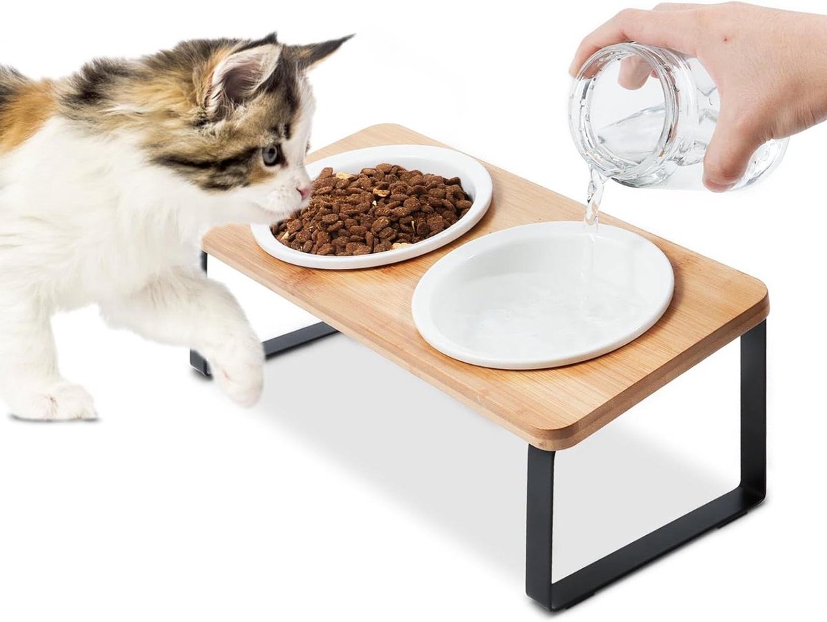 Verhoogde kattenkommen - Voerbakken huisdier - Comfortabel eten - 15° kantelontwerp - 2x 350ml - Wit