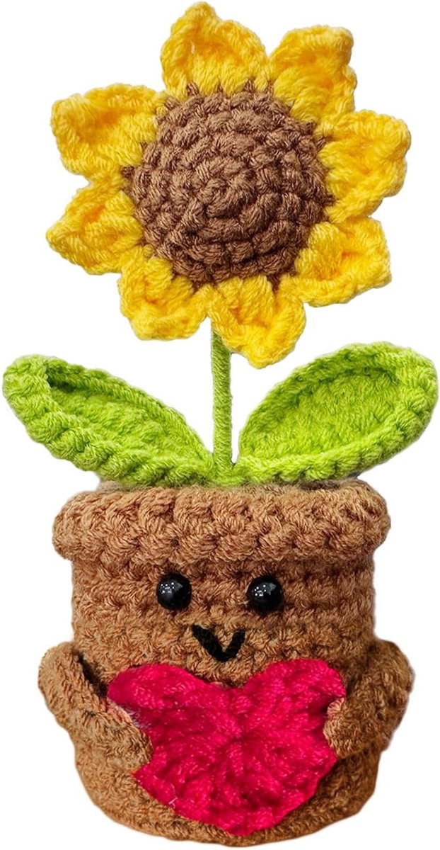 Cadeaus voor Vrouwen en Mannen: Unieke Zonnebloem Geschenken voor Elke Gelegenheid