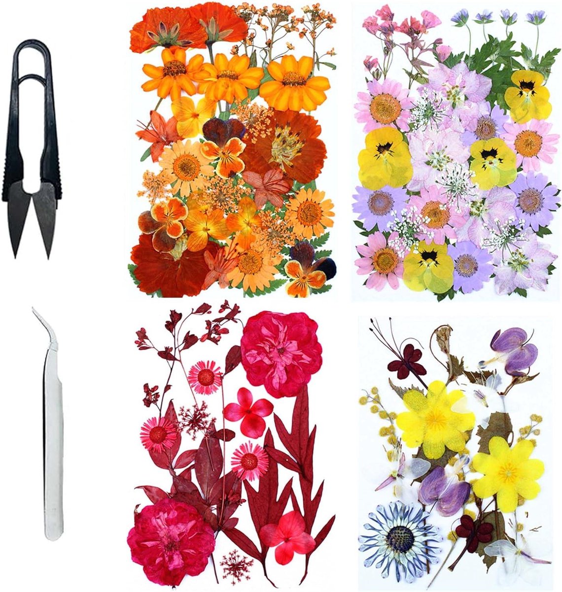 Gedroogde Bloemen Set - Natuurlijke Hars Bloem - Hobby Knutselen - Echt en Levendig - 90 stuks - Stijl F