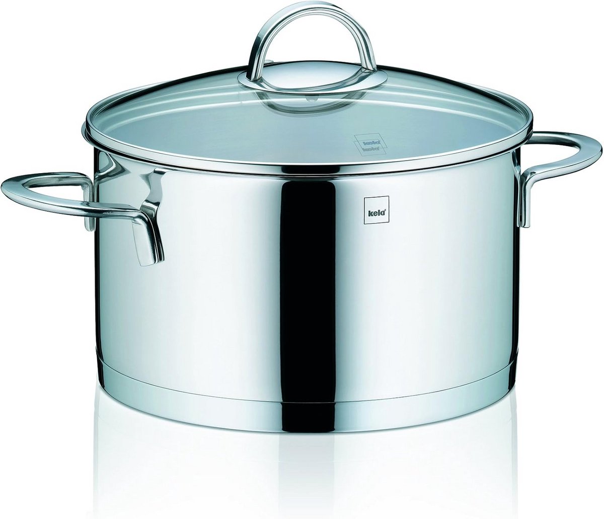 Braadpan Roestvrij Staal Kookpan met Deksel Mee Koken Vergulde Bodem 20 cm Diameter Zilverkleurig
