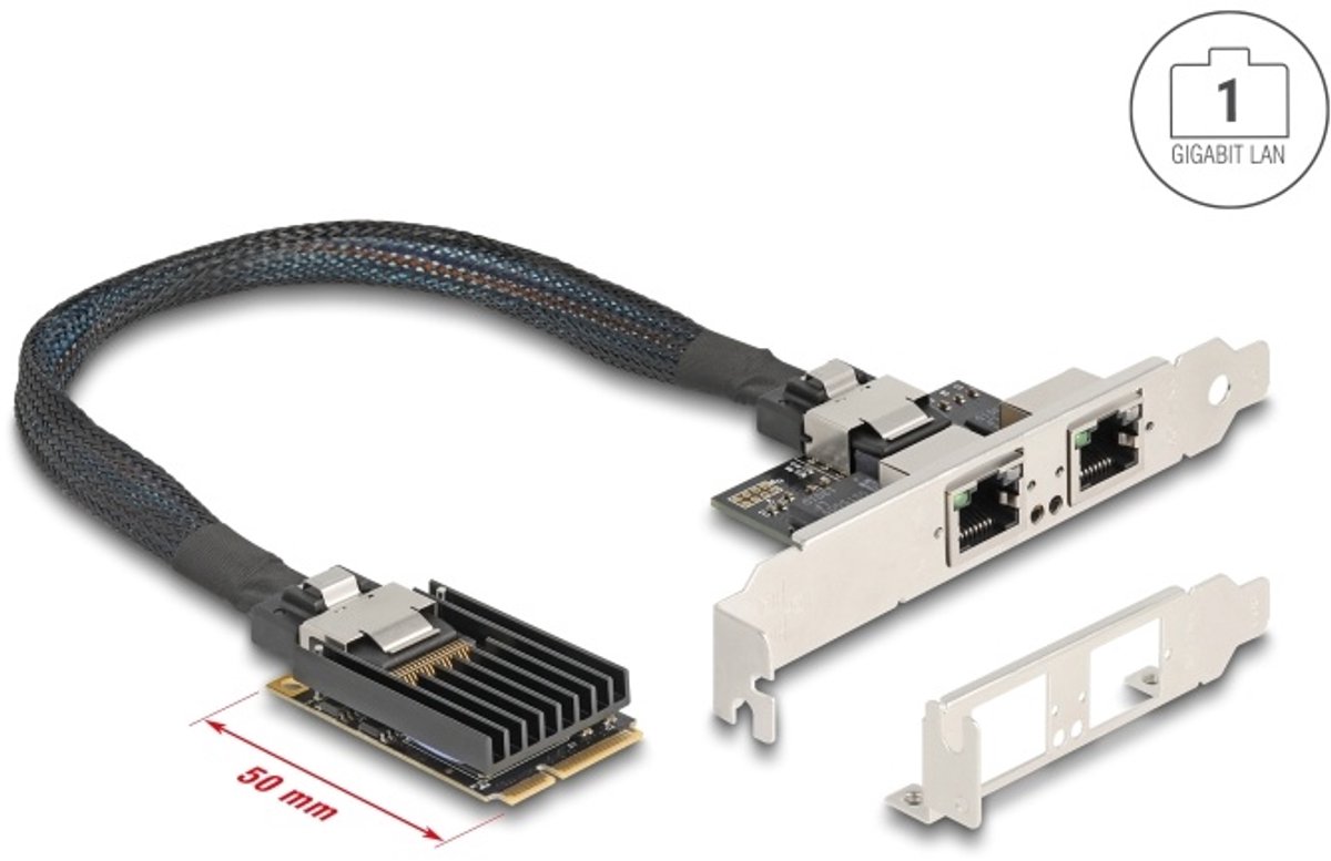 Delock Mini PCIe I/O PCIe full size 2 x RJ45 Gigabit LAN