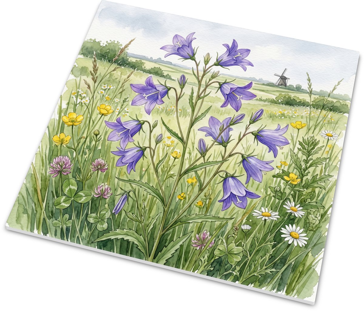 Wandtegeltje Weideklokje in de Weide - Glanzend Tegeltje met Aquarel van Paarse Bloemen, B