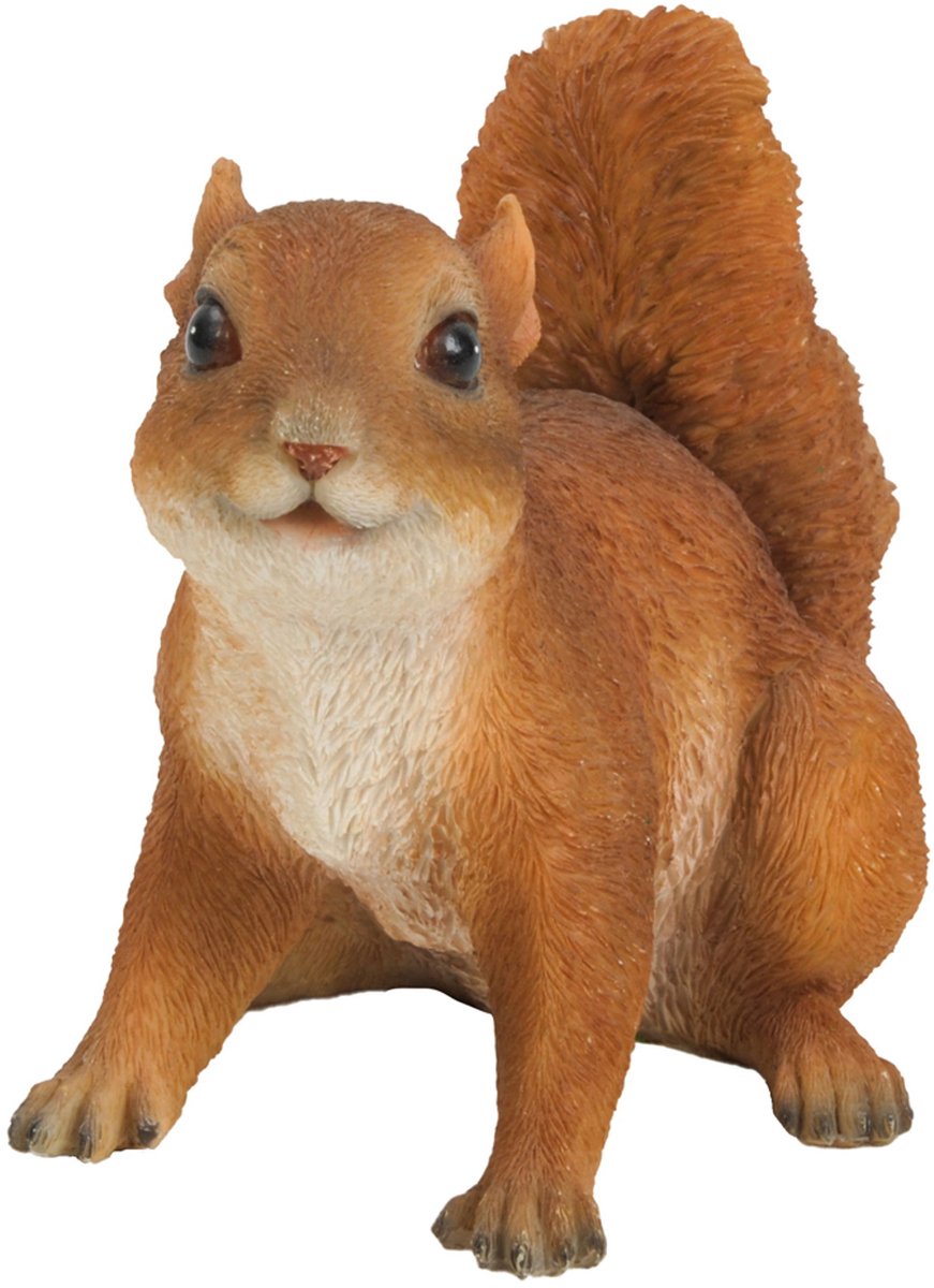 Kleine eekhoorn