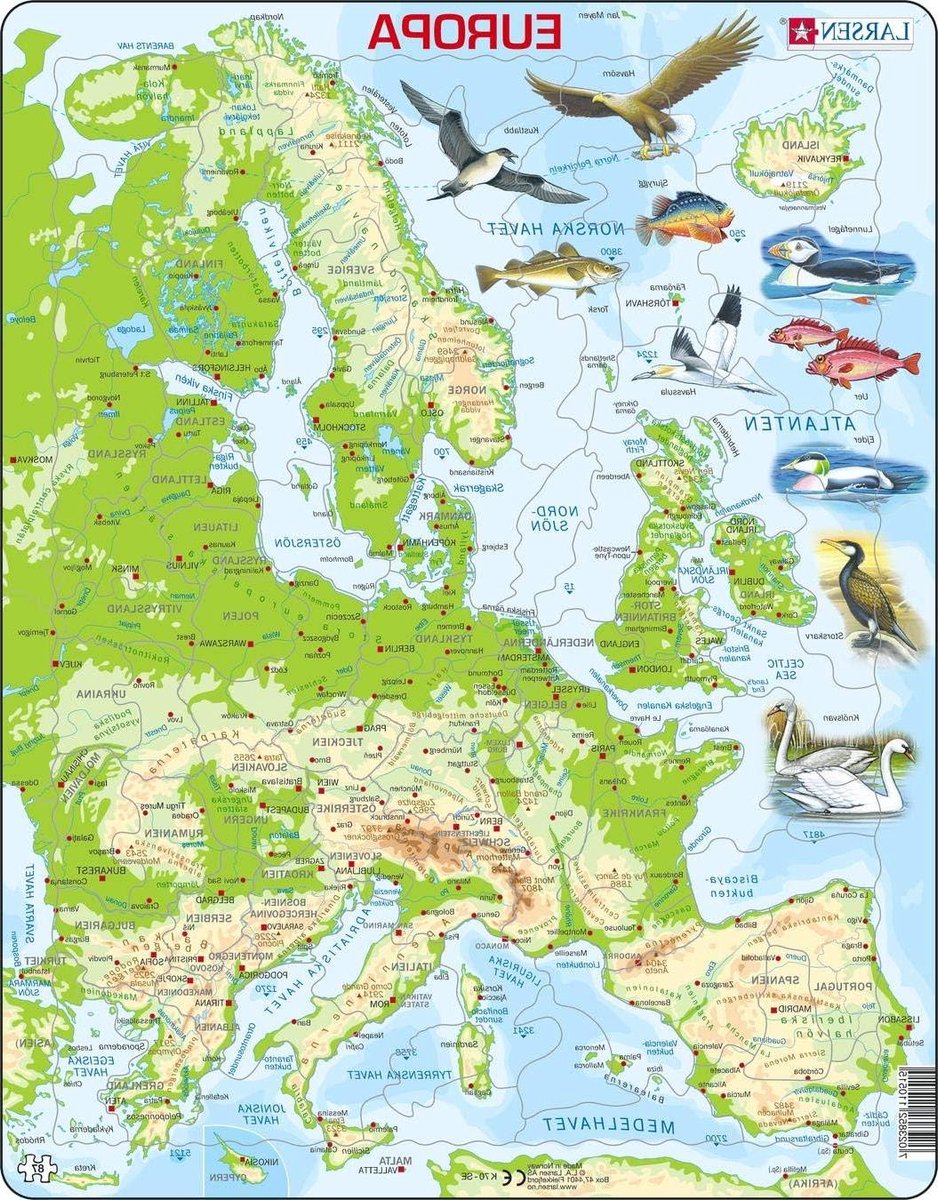 Fysieke kaart puzzel - Europa puzzel - Geografie leren - Contour en figuurstukken - 87 stukjes - Multicolor