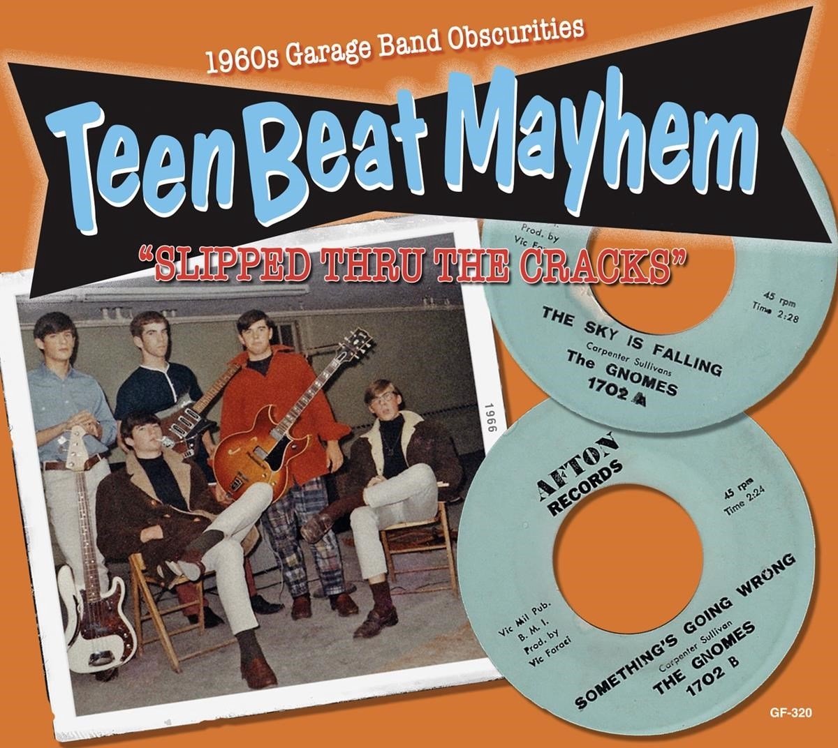 Various Artists - Teen Beat Mayhem : Slipped Thru The Cracks (CD)