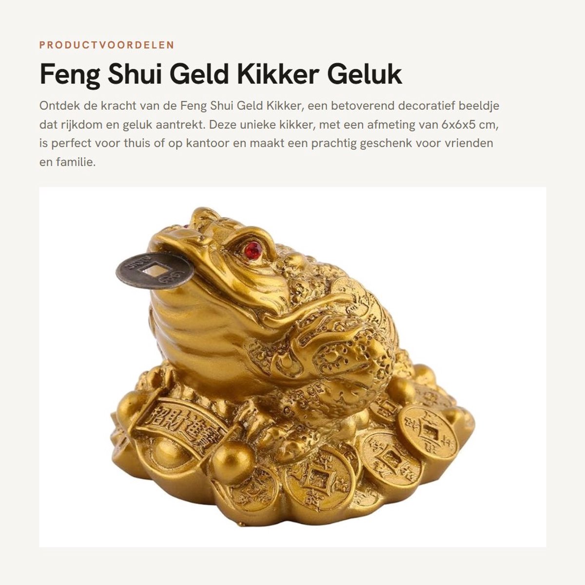 Dailygoods- Geldkikker Feng Shui - Rijkdom/geluk - Decoratie - Cadeau - 6x6x5 cm - Beschermt tegen pech