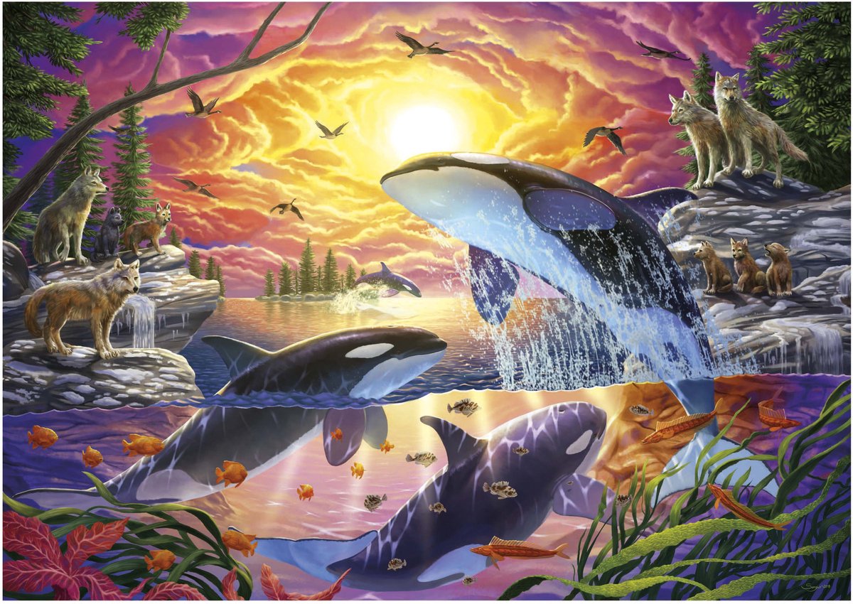 Educa puzzel landschap Orcas en Wolven - 4000 stukjes karton.