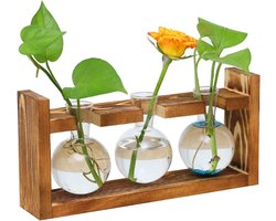 Planten propagatiestation met houten standaard voor thuis, kantoor en vensterbank - Perfecte decoratie en cadeau voor plantenliefhebbers