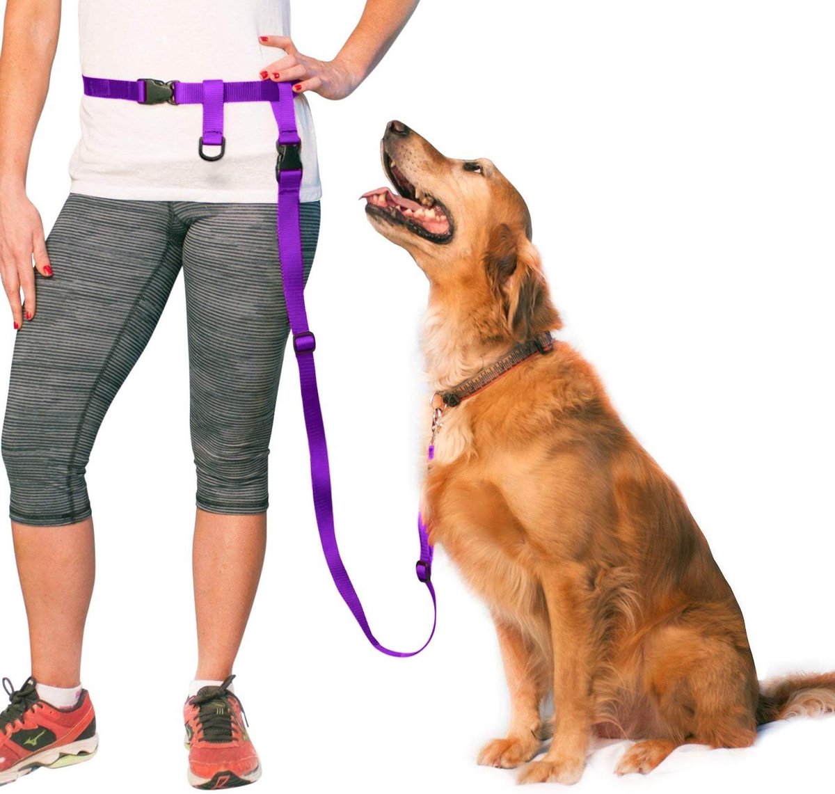 Handsfree Hondenriem - Verstelbare Leash - Hardlopen met Hond - Quick Release Mechanisme - 22-40 Inch - Paars