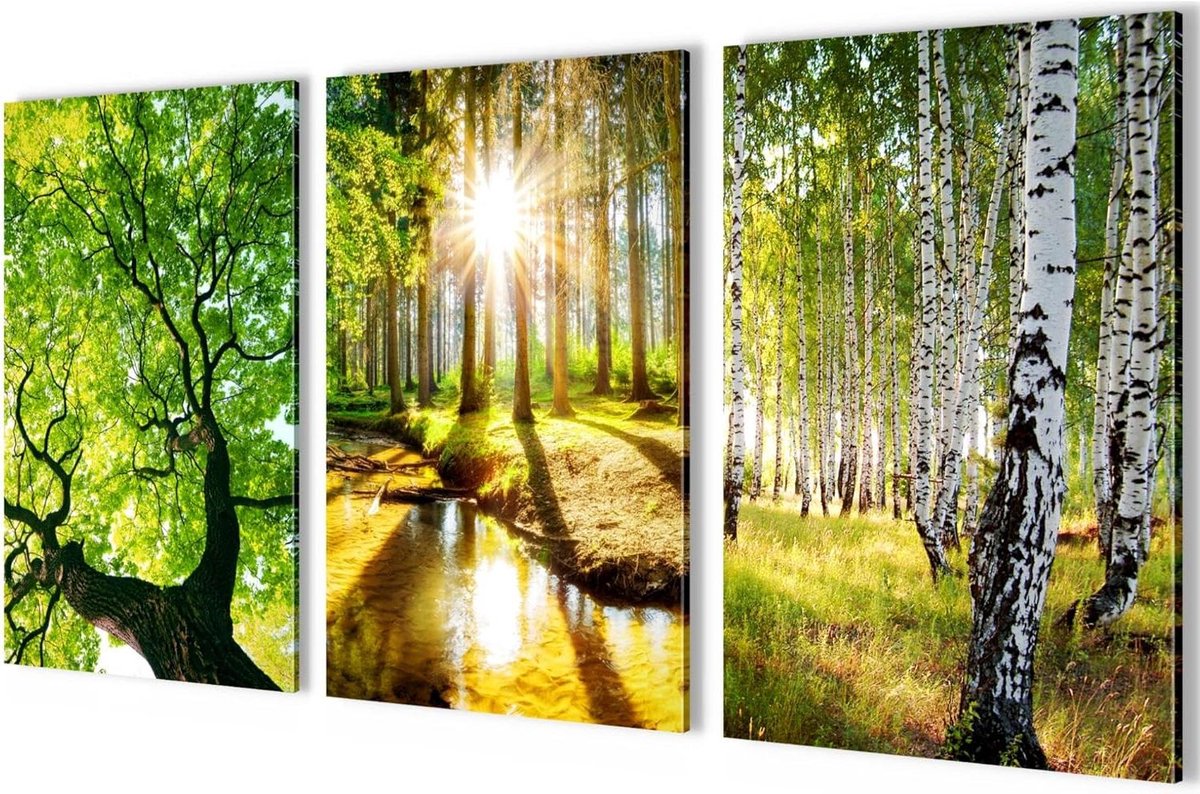 Schilderijenset Landschap - Wanddecoratie 3 Delig - Woonkamer Decoreren - Geen Extra Frame Nodig - 128 x 60 cm - Groen