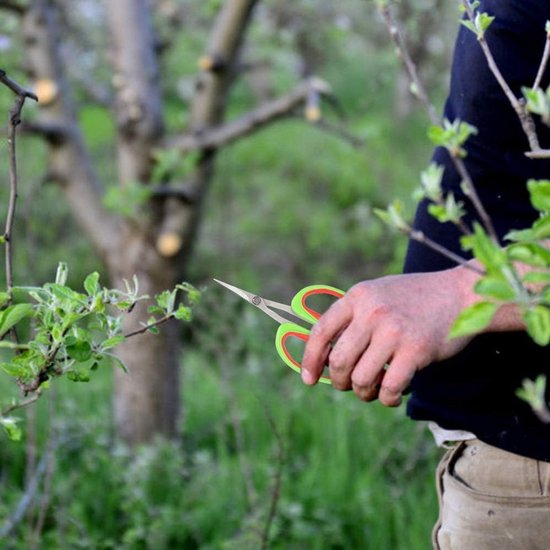 Bonsai schaar roestvrij staal - Japanse tuingereedschap - fruitboom tak trimmen - druivenschaar - professioneel gereedschap . van Merkloos	 — afbeelding 5