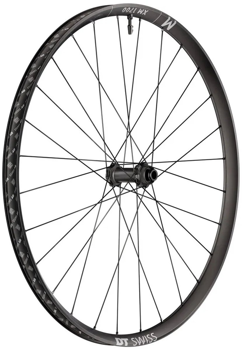 Dt Swiss Xm 1700 Spline 29´´ 20 Cl Disc Tubeless Mtb Voorwiel Zilver 15 x 110 mm