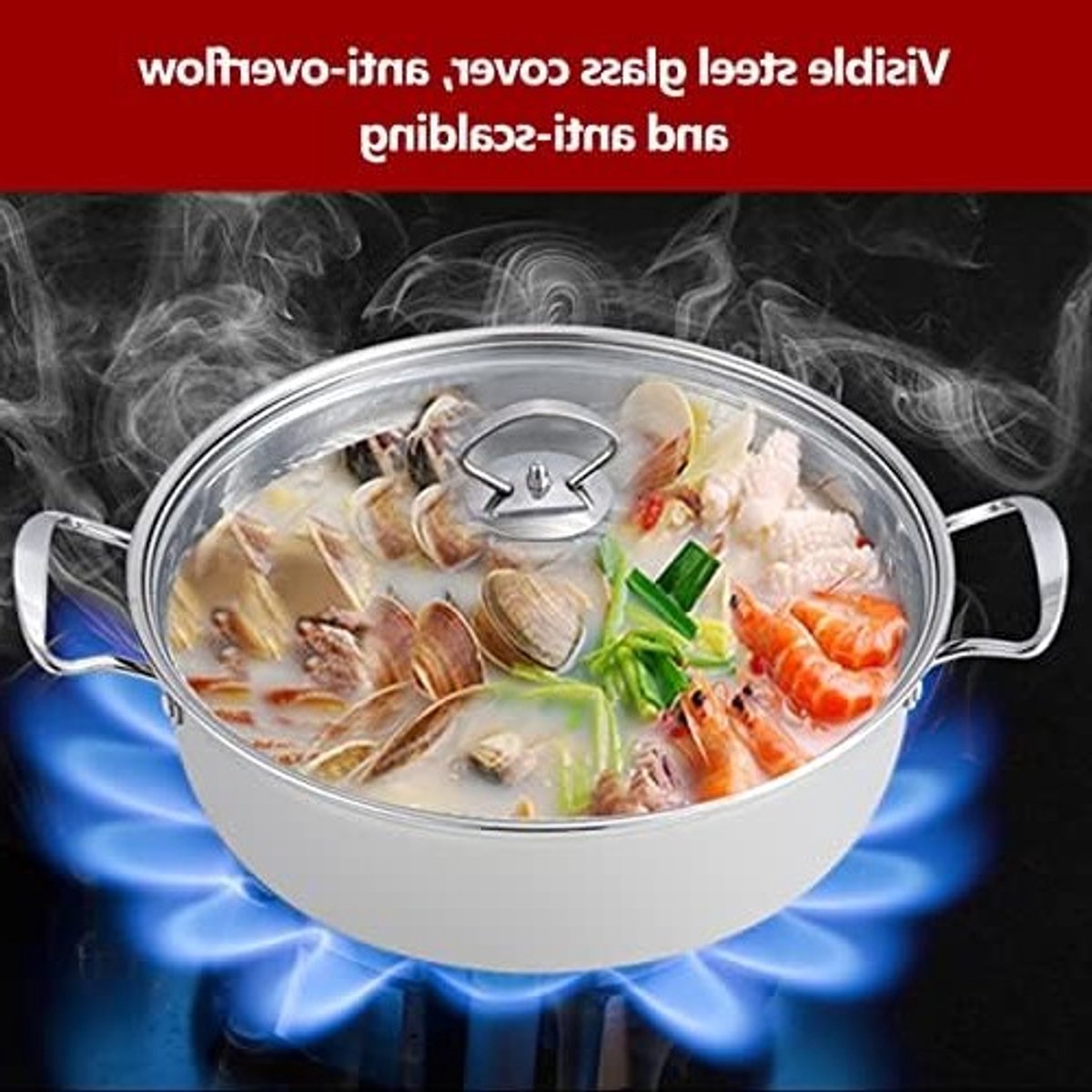 Stainless Steel Stoompan met Deksel, 2-Lagige Kookpan voor Gezond Koken, 27 x 27 x 19.5 cm, Ideaal voor Groenten en Vis Stomen