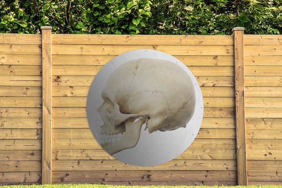Cercle de jardin dessin de tête de mort réalisé par ordinateur - 150x150 cm - Affiche de jardin ronde - Extérieur