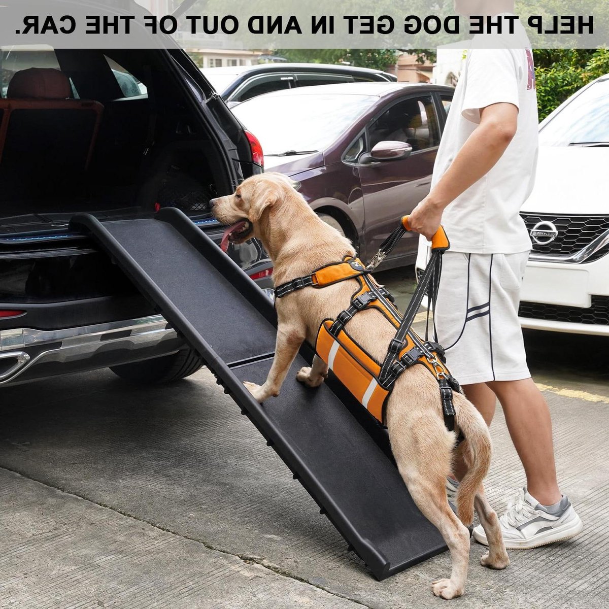 Hondenliftharnas - Hondensling Hondenlift - Mobiliteitshulp Hond - Ademende Ventilatie Urine - XL Oranje