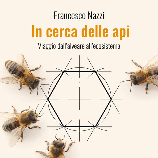 In cerca delle api - cover