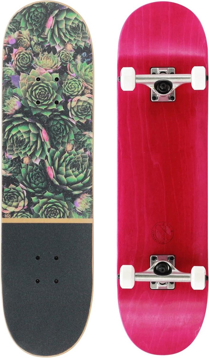 Compleet Skateboard Skate Board Nieuwe Tricks Leren Canadees Esdoorn Hout 8.125 Inch Planten Design