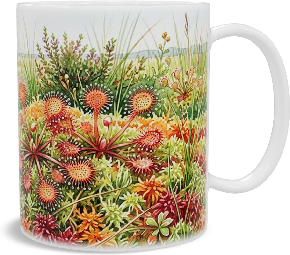 Mok met Zonnedauw - Drosera - Aquarel Veenlandschap