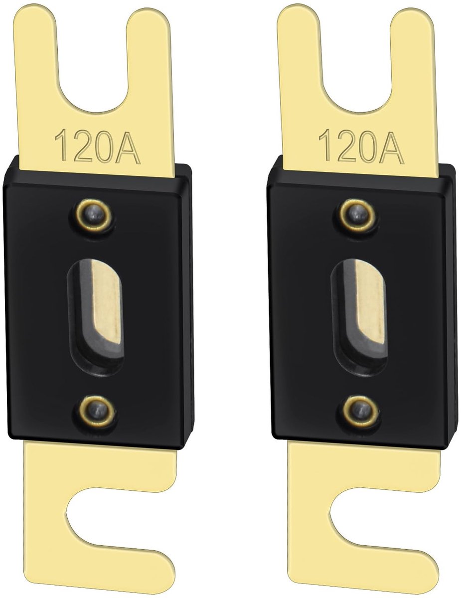 Dailygoods - Dailygoody Fuse - 120A Auto Fuse - Geschikt voor Audio-installatie - Goud en Zwart - 2 Pack - Hoogwaardige Bescherming