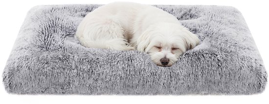 Een witte hond slaapt op een grijze pluizige hondenmand, op een witte achtergrond.