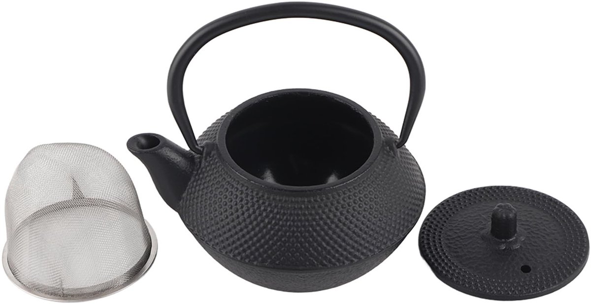 Dailygoods- Waterkoker Gietijzer 0,3 Liter - Theepot met Zeef - Japanse Theeketel - Gezond Thuisgebruik - Professioneel Vervaardigd