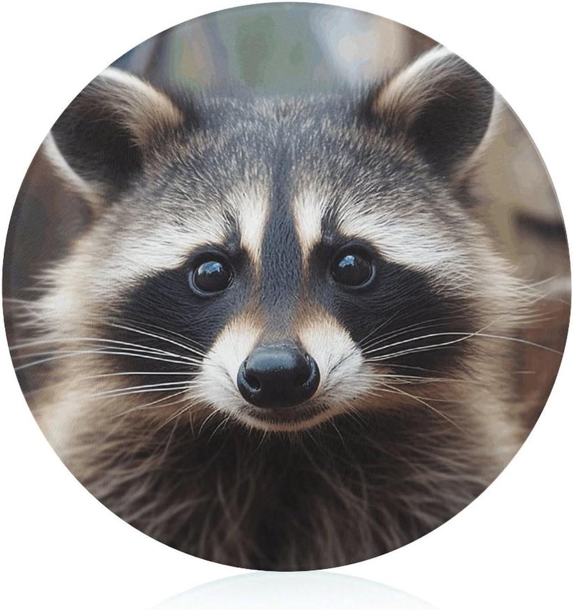 Glazen Snijplank - Snijplank Keuken - Fruit Snijden - Little Raccoon Face Print - 20.1 cm - Wit
