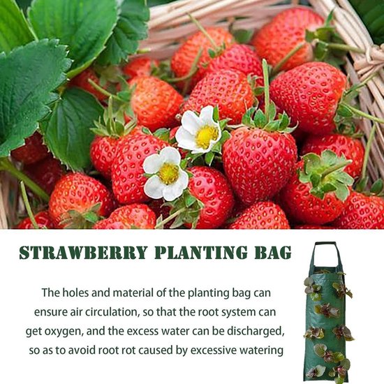 Hangende aardbeienplanter, ondersteboven patio tuin tomatentassen, hangende kweekzakken met handvatten voor bloemen en planten, geschikt voor buiten van Merkloos	 — afbeelding 3