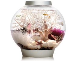 Biorb - Klein aquarium, 30 x 32 cm, zwart - P