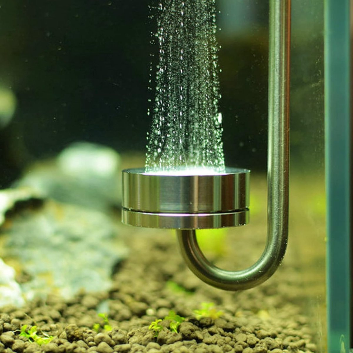 Kooldioxide Diffuser, CO2 Fish Tank Diffuser Aquarium Benodigdheden Apparatuur