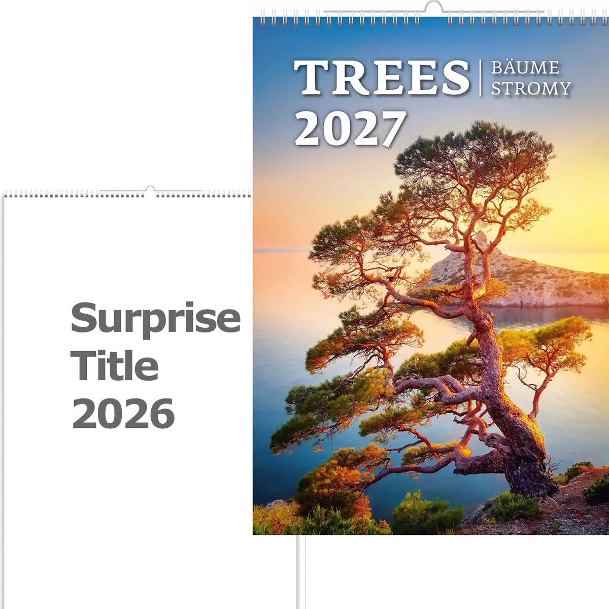 C125-27 Bomen Kalender A3+ formaat 2027 + gratis kalender 2026