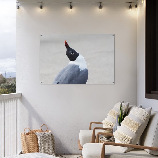 Poster Jardin mouette souriante 120x80 cm - Toile de jardin / Toile d'extérieur / Peintures d'extérieur (décoration de jardin)