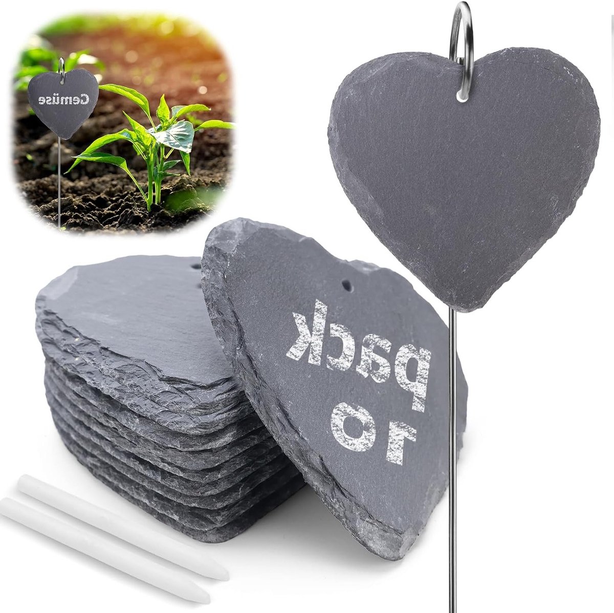 Set van 10 Herkenbare Plant Labels met Slate en Chalk, Herbruikbare Tuinplanken voor Kruid