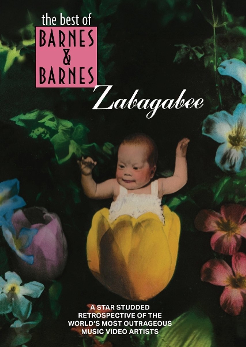 Barnes & Barnes - Zabagabee: The Best Of Barnes & Barnes (DVD)