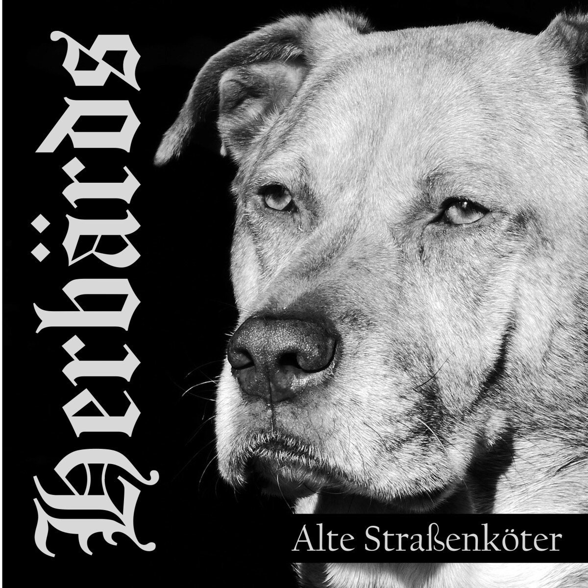 Herbards - Alte Strassenkoter (LP) (Coloured Vinyl)